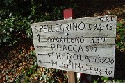 44 Bivio sent. 597-594